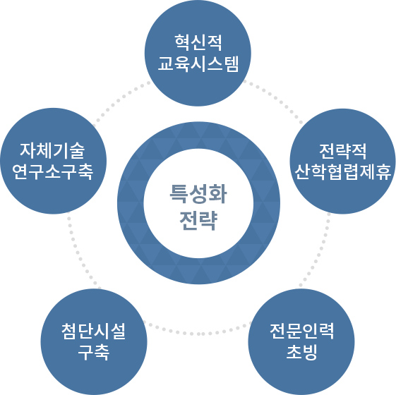 특성화전략 : 혁신적 교육시스템, 전략적 산학협렵제휴, 전문인력초빙, 첨단시설구축, 자체기술연구소구축